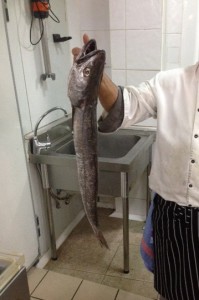 Pescado Fresco